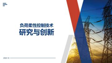 2023年配电网绿色发展西部论坛：负荷柔性控制技术研究与创新.pdf