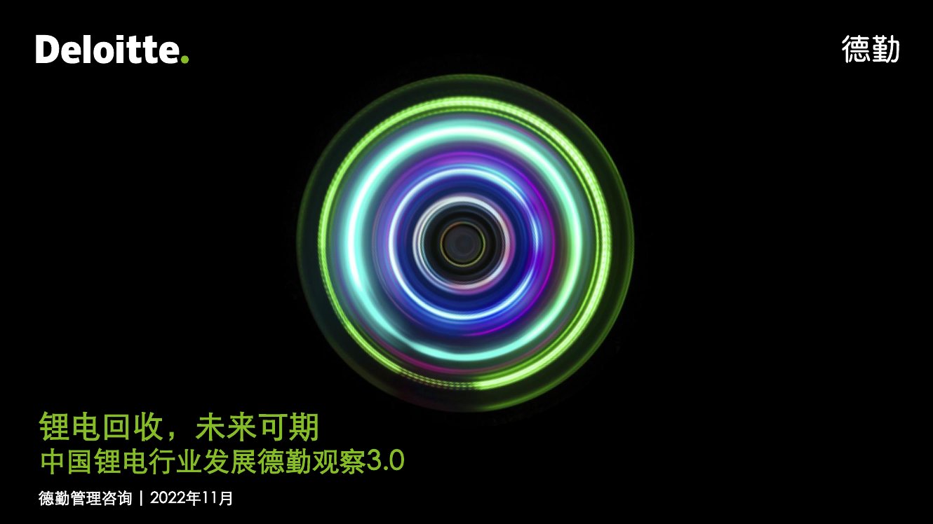 德勤：中国锂电行业发展观察3.0.pdf