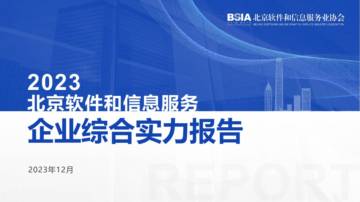 北京软协：2023北京软件和信息服务企业综合实力报告.pdf