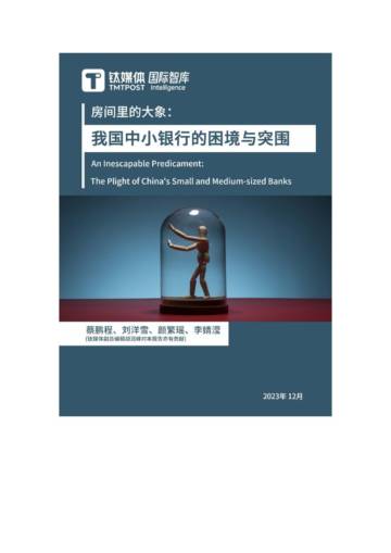 钛媒体：房间里的大象：我国中小银行的困境与突围.pdf