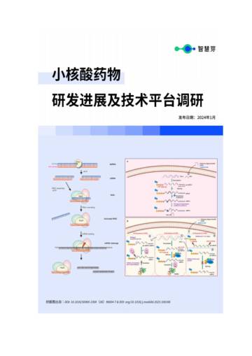 智慧芽：2024小核酸药物研发进展及技术平台调研报告.pdf