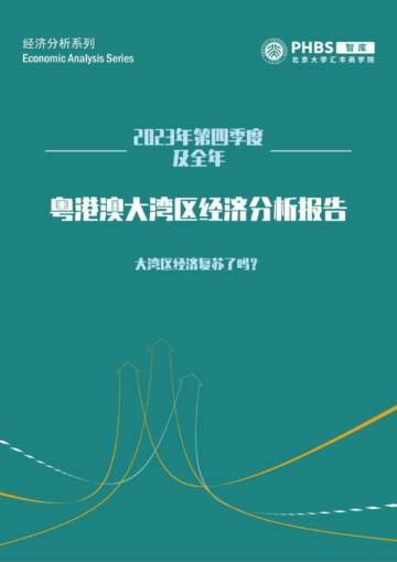 北大汇丰智库：2023Q4及全年粤港澳大湾区经济分析季度报告.pdf