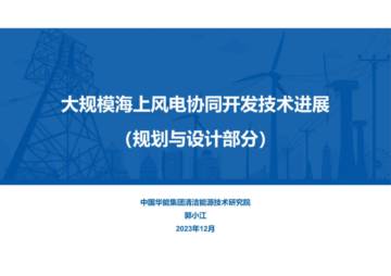 中国华能：大规模海上风电协同开发技术进展.pdf