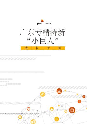 普华永道：2024广东专精特新“小巨人”成长手册.pdf