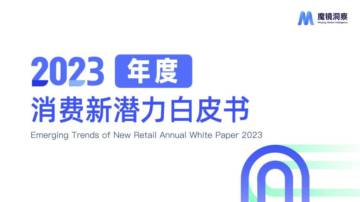 魔镜洞察：2023年度消费新潜力白皮书.pdf