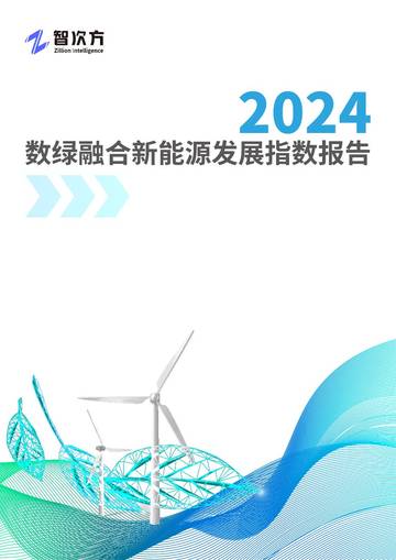 智次方：2024数绿融合新能源发展指数报告.pdf