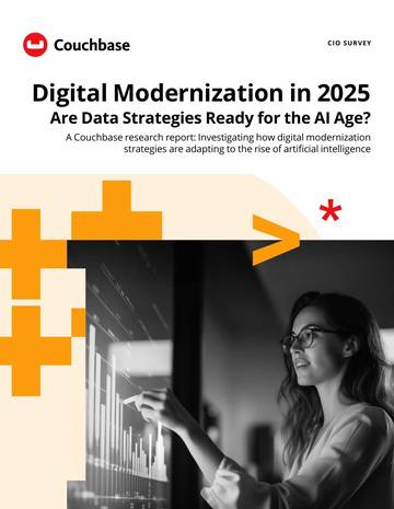 CIO SURVEY：Digital Modernization in 2025.pdf
