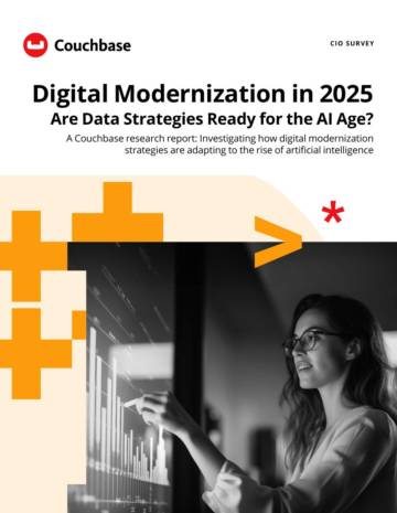 CIO SURVEY：Digital Modernization in 2025.pdf