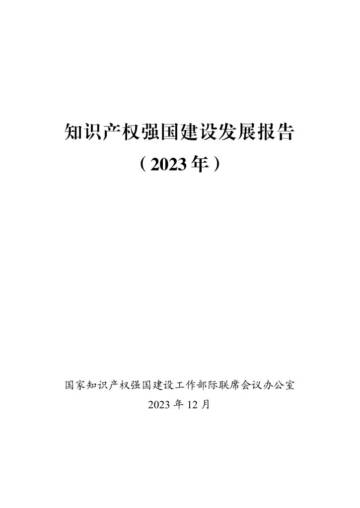 国家知识产权局：知识产权强国建设发展报告（2023年）.pdf