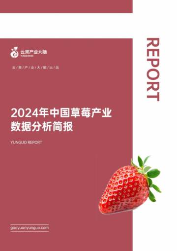 云果：2024年中国草莓产业数据分析简报.pdf