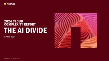 2024 CLOUD COMPLEXITY REPORT：THE AI DIVIDE.pdf