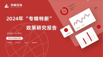 灼鼎咨询：2024年“专精特新”政策研究报告.pdf