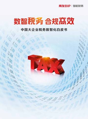 用友&毕马威：2024中国大企业税务数智化白皮书.pdf