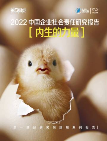 2022 中国企业社会责任研究报告.pdf