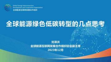 全球能源互联网发展合作组织：全球能源绿色低碳转型的几点思考.pdf