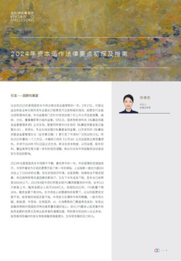 2024年资本运作法律要点初探及指南-陈倩思.pdf