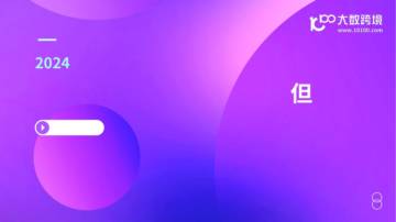 大数跨境：2024成人情趣用品市场洞察报告.pdf