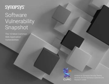 2022年软件漏洞快照报告.pdf