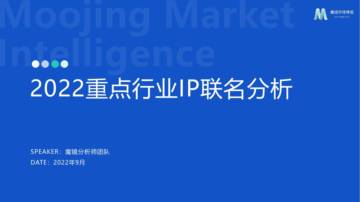 魔镜市场情报：2022重点行业IP联名分析报告.pdf