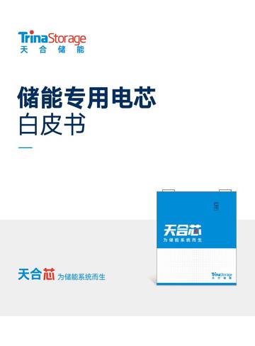 天合储能：2024储能专用电芯白皮书.pdf