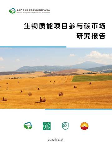 GIZ：生物质能项目参与碳市场研究报告.pdf