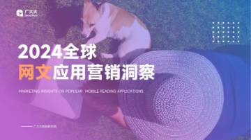 广大大：2024全球网文应用营销洞察报告.pdf