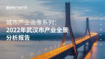 2022年武汉市产业全景分析报告.pdf