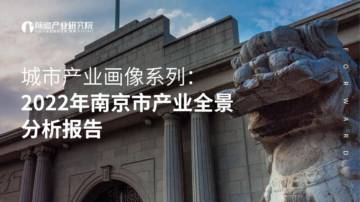 2022年南京市产业全景分析报告.pdf