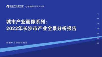 2022年长沙市产业全景分析报告.pdf