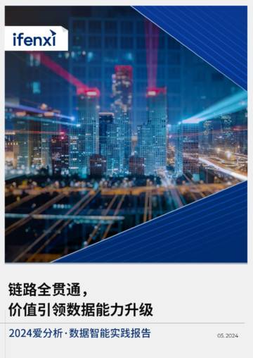 爱分析：2024数据智能实践报告.pdf