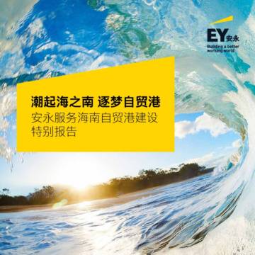 安永-安永服务海南自贸港建设特别报告.pdf