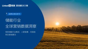 领英：2024储能行业全球营销数据洞察白皮书.pdf