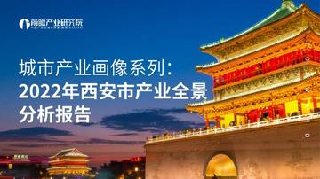 2022年西安市产业全景分析报告.pdf