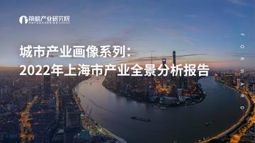 2022年上海市产业全景分析报告.pdf