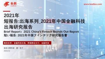2021年短报告：出海系列_2021年中国金融科技出海研究报告.pdf