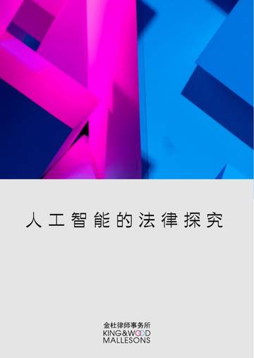 金杜律师事务所：2024人工智能的法律探究报告.pdf