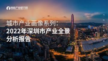 2022年深圳市产业全景分析报告.pdf