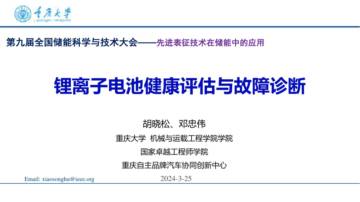 重庆大学：2024锂电池健康管理与故障诊断报告.pdf