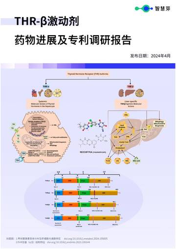 智慧芽：2024年THR-β激动剂药物进展及专利调研报告.pdf