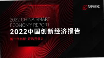 2022中国创新经济报告.pdf