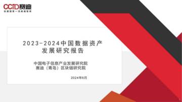 赛迪：2023-2024中国数据资产发展研究报告.pdf