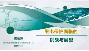国家电网：2024继电保护面临的挑战与展望报告.pdf