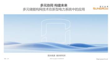 阳光电源：2024多元储能构网技术在新型电力系统中的应用报告.pdf