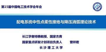 长沙理工大学：2024配电系统中性点柔性接地与降压消弧理论技术报告.pdf