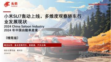 头豹：小米SU7轰动上线-多维度观察轿车行业发展现状.pdf