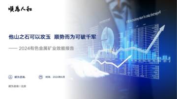顺为咨询：2024有色金属矿业效能报告.pdf