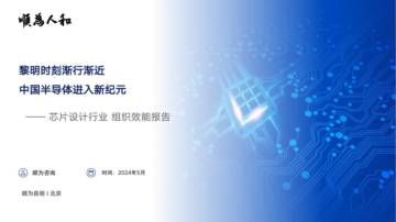 顺为咨询：2024芯片设计行业组织效能报告.pdf