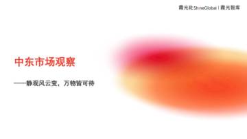 霞光智库：2024中东市场观察报告.pdf