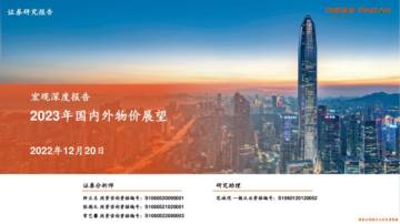 平安证券：2023年国内外物价展望.pdf