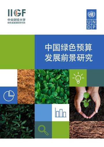 中央财经大学&UNDP：2024中国绿色预算发展前景研究报告.pdf